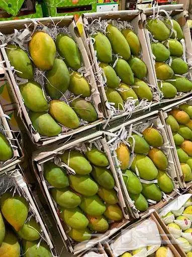 مورد الفواكة والخضروات الطازجة بجدة بافضل جودة وافضل سعر 50