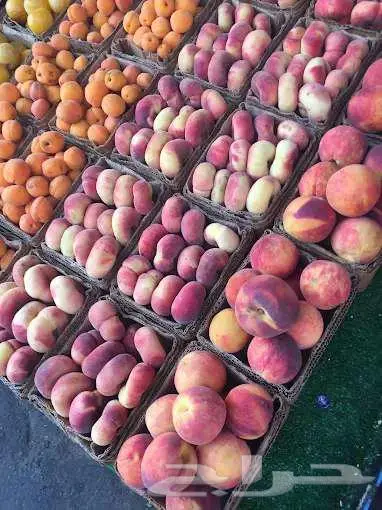 مورد الفواكة والخضروات الطازجة بجدة بافضل جودة وافضل سعر 49