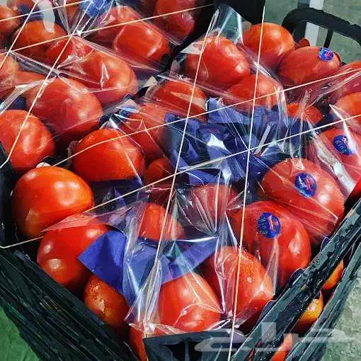مورد الفواكة والخضروات الطازجة بجدة بافضل جودة وافضل سعر 72