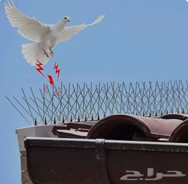 تركيب اغطية المكيفات غطاء مكيف فيبر شباك طارد الطيور 8