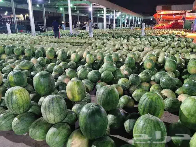 مورد الفواكة والخضروات الطازجة بجدة بافضل جودة وافضل سعر 74