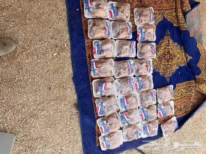 للبيع زغليل حمام فرنسي ابيض وسلفر 2