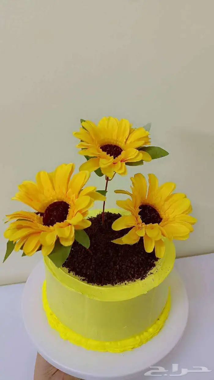 عروض اليوم الوطني 23