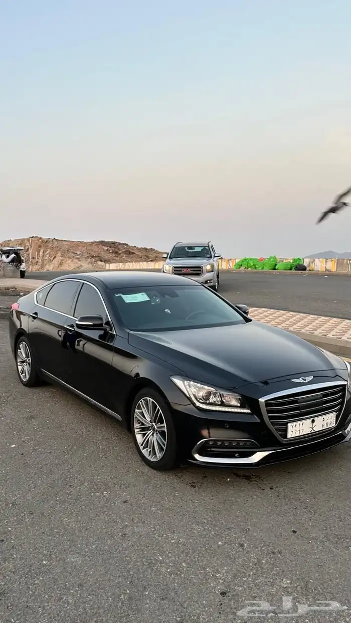 جنسيس g80 2019 1