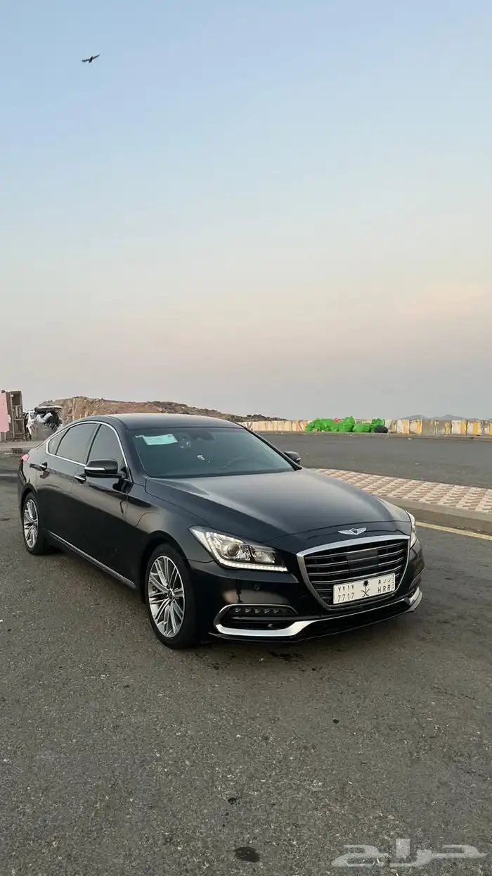 جنسيس g80 2019 16