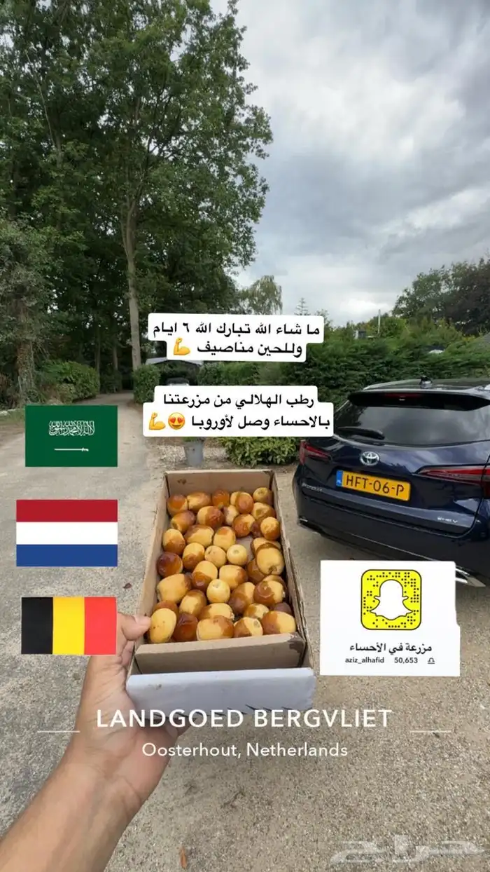 رطب من مزرعتنا بالاحساء الى الدمام فرش 0