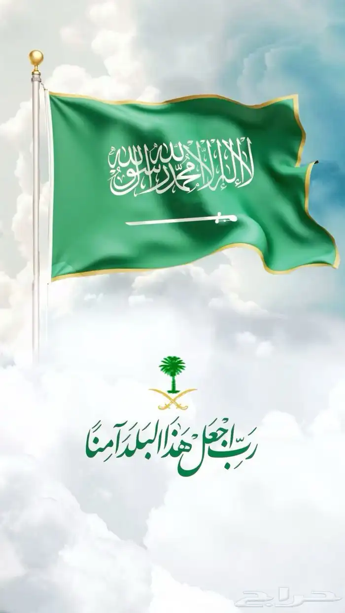 تصاميم احترافية لليوم الوطني 0
