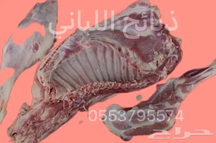 طليان ورخال بهم 0