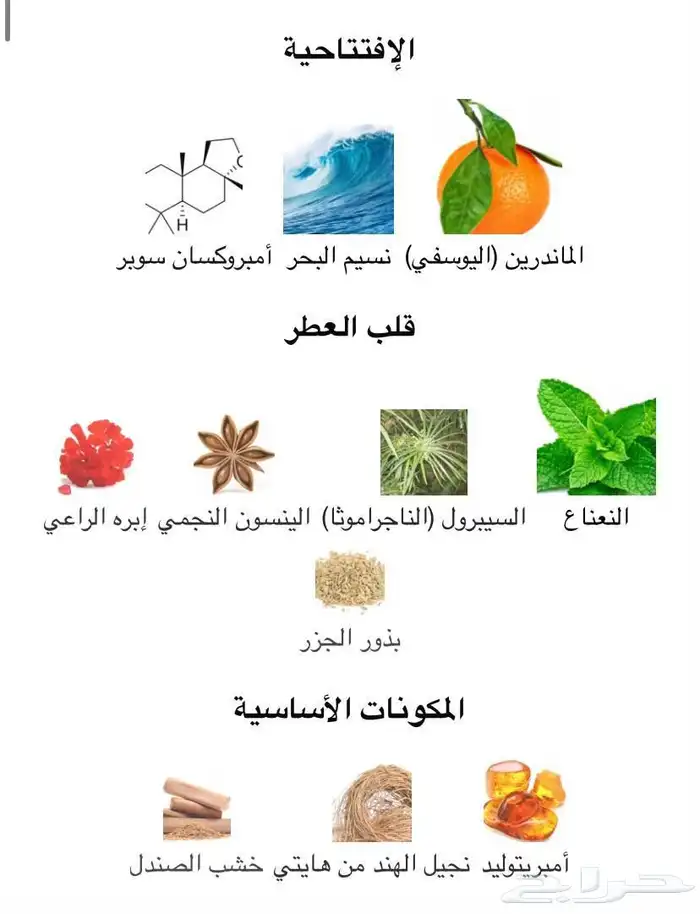 نيشاني ديزيرو 100 مل ( مباع ) 3