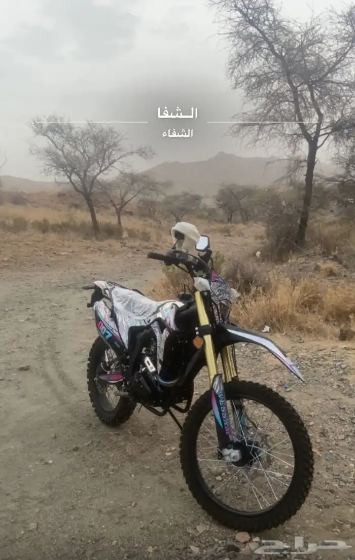 دباب صحروي 0