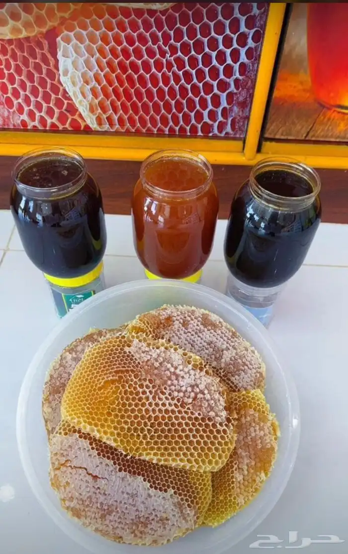 عسل بلدي 0
