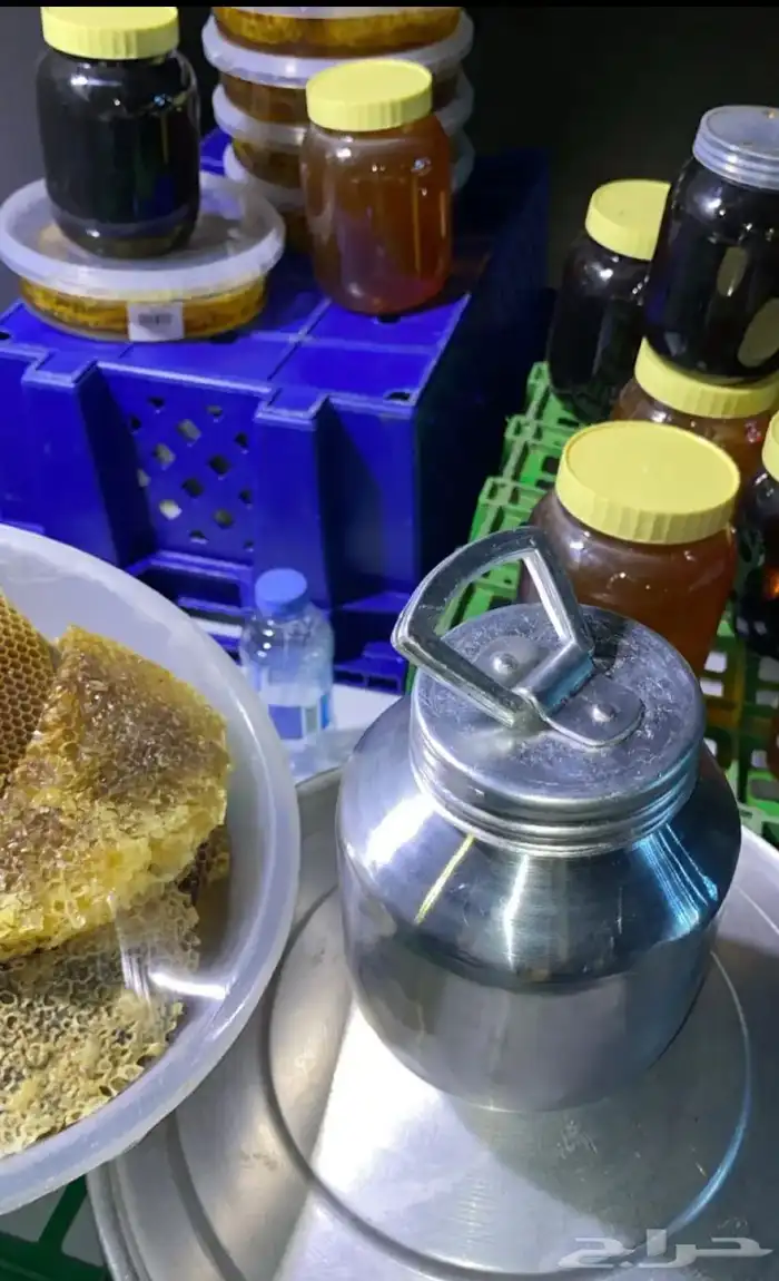 عسل سمره بلدي صافي 100 4