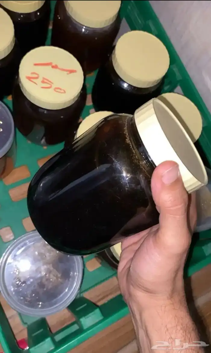 عسل سمره بلدي صافي 100 0