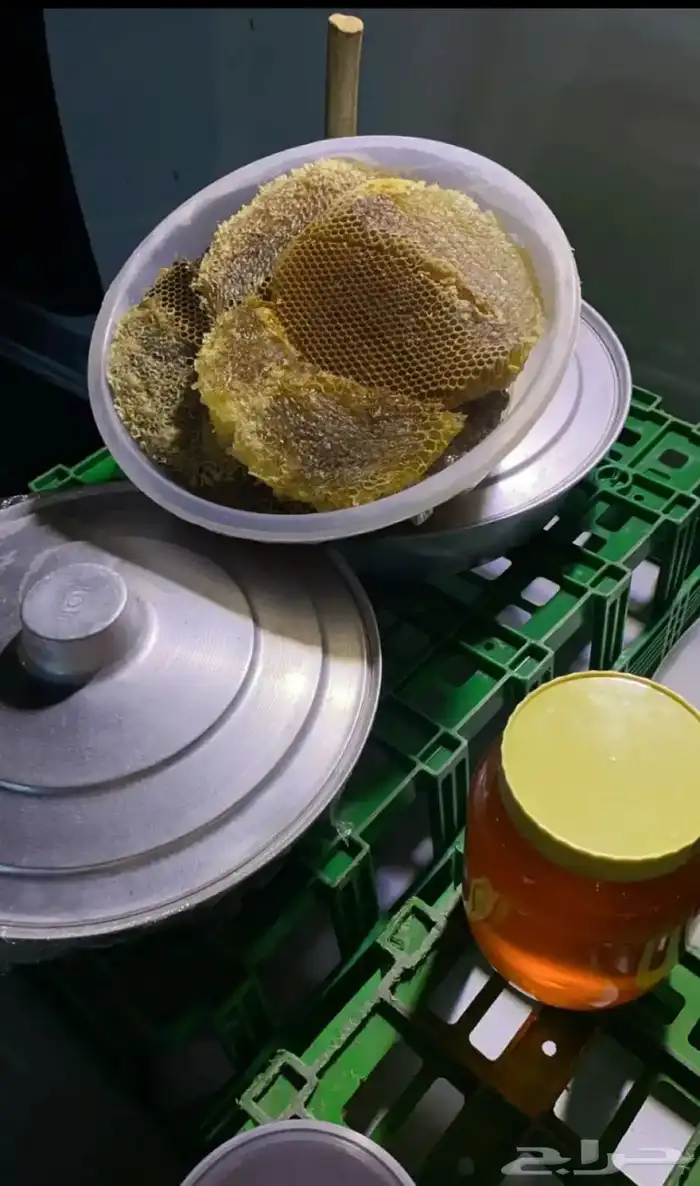 عسل سمره بلدي صافي 100 3