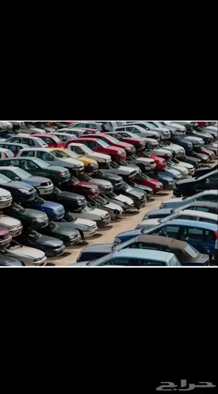 مندوب تشاليح المدينه 0