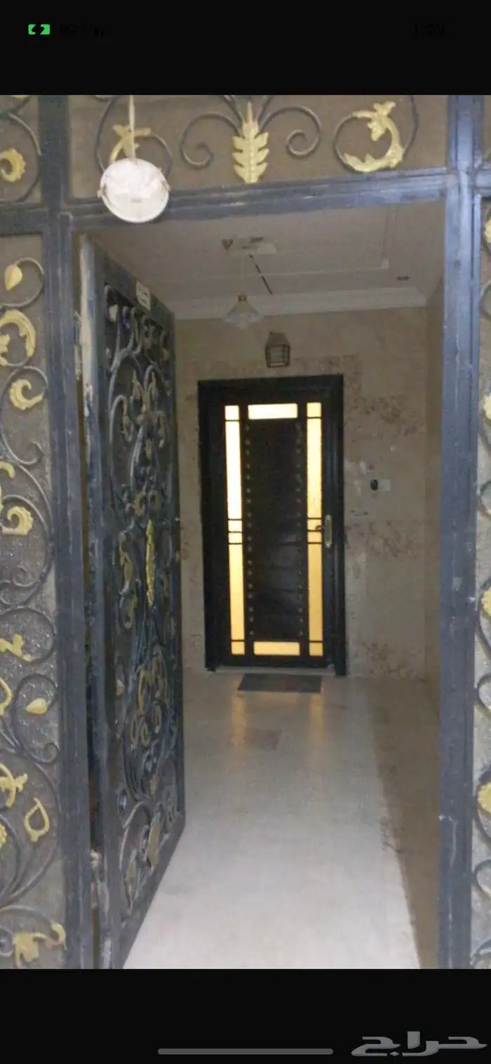 باب حديد قص ليزر نكسان قوي 1
