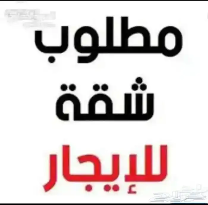مطلوب شقه غرفه وصاله 0