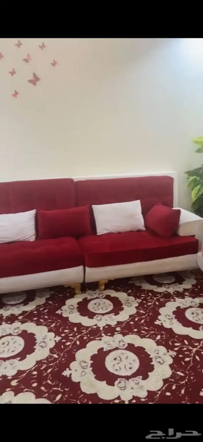 كنب 2