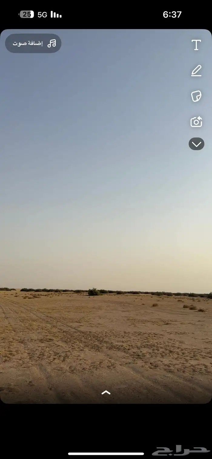 موسم سدر الفياض البري بتاريخ 2025 0