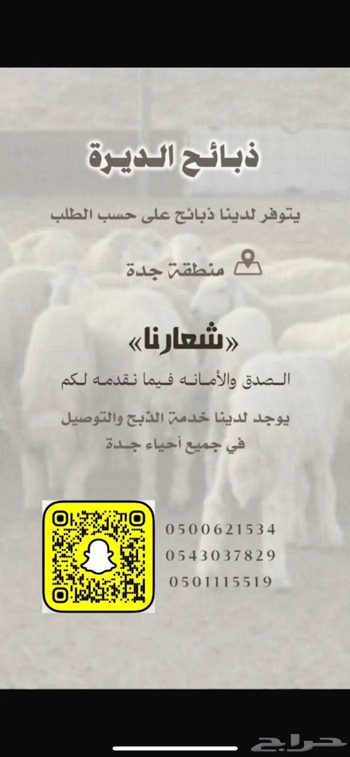 طليان ذبائح تابي تمارا 0