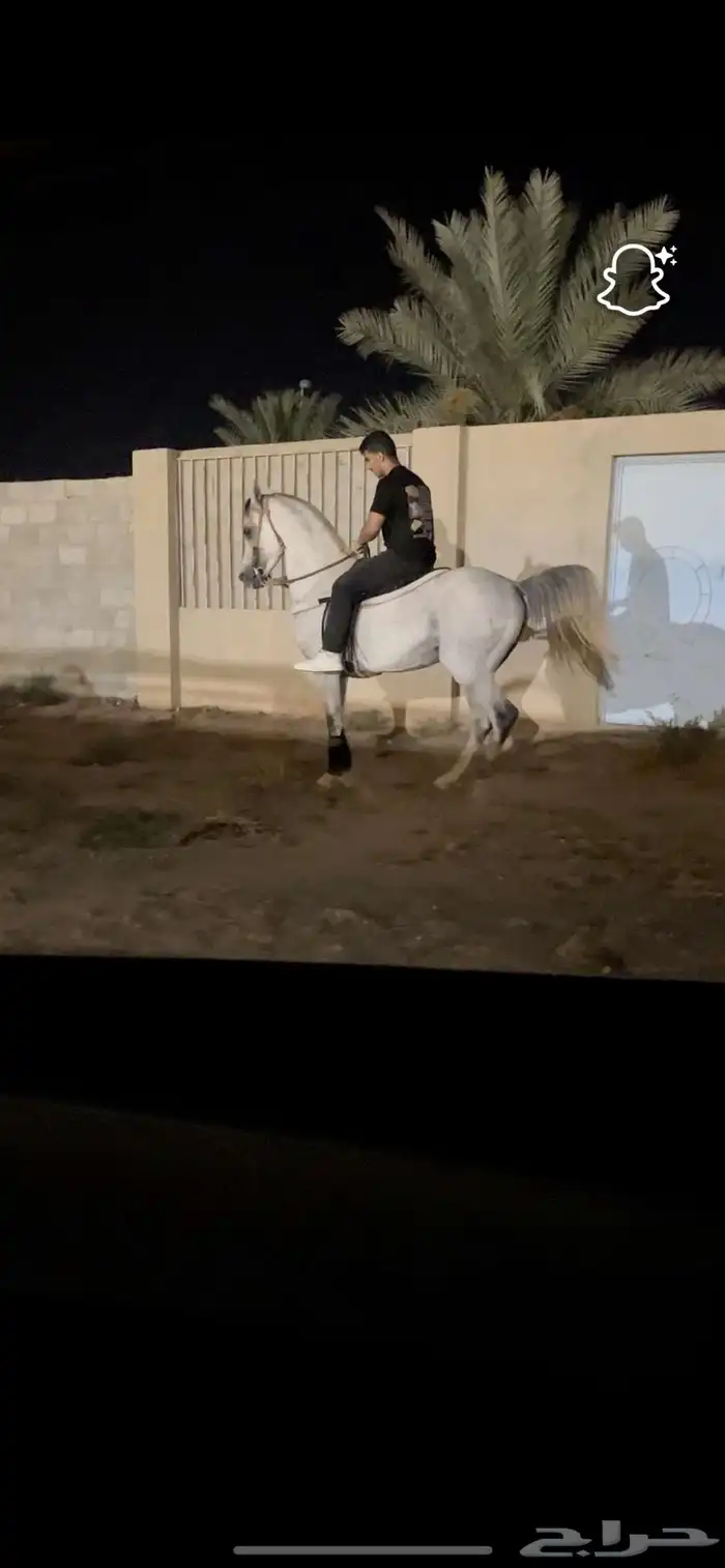 فتح ايوا بمربط صهوه الاصايل 6