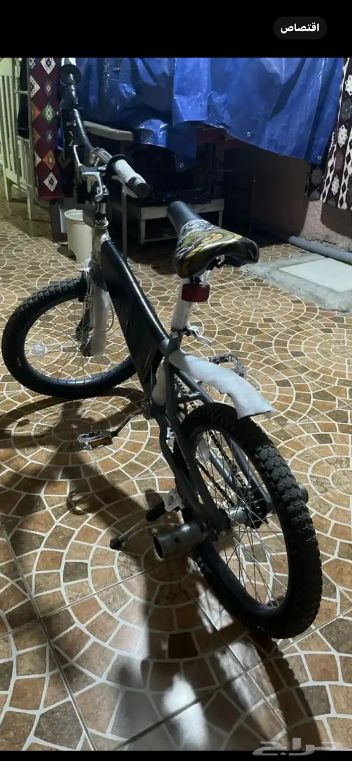 كوبرا رصاصي 2