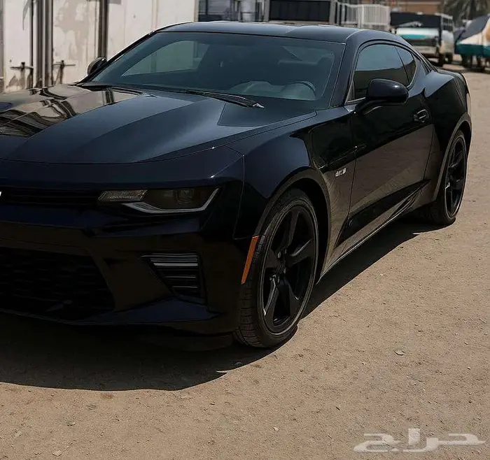 رش وكالة فرن رش مطفي دهان سيارات لامع سمكرة بوية 9