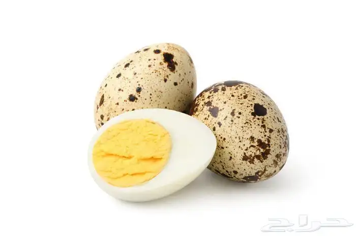 بيض سمان 0