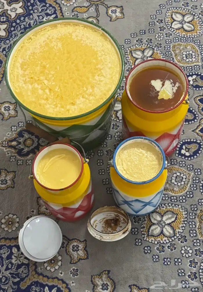 خيبر الجنوب سمن بقر 0