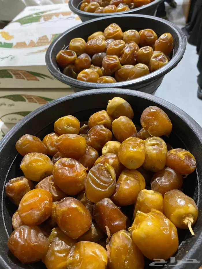 تمور خراف يومي 11