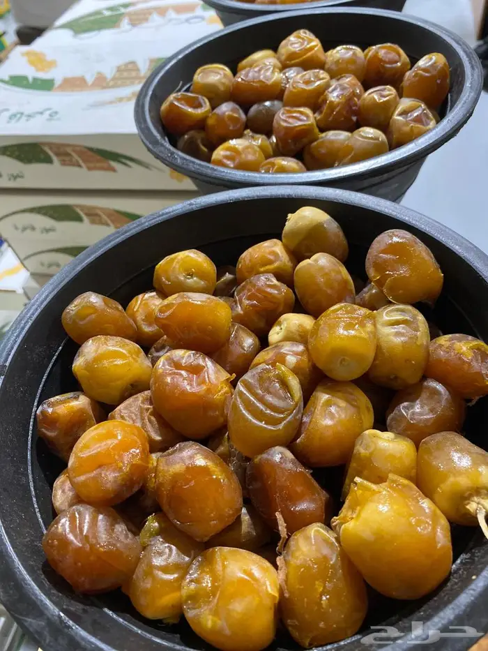 تمور خراف يومي 7