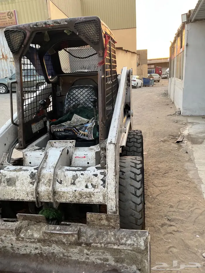 بوبكات 2011 6
