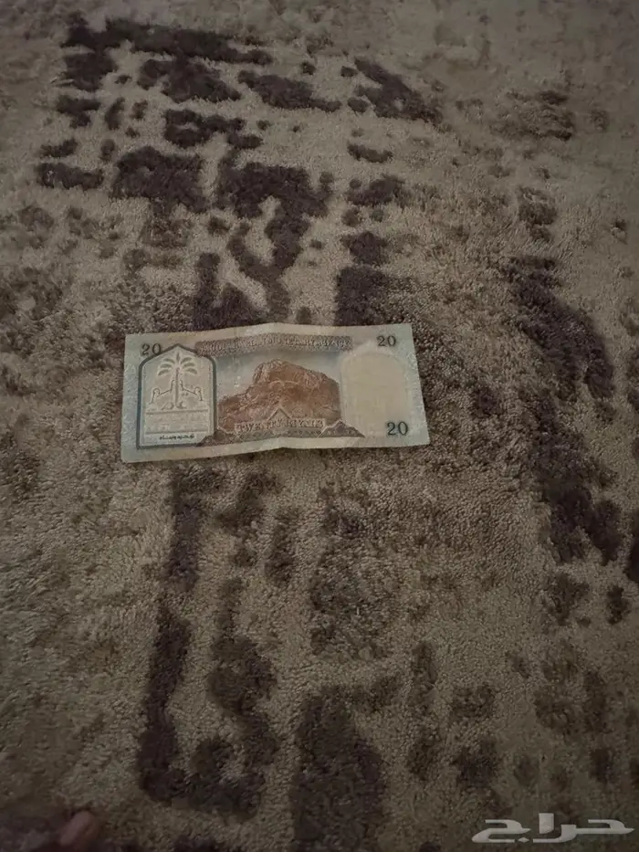 عمله البيع 20 ريال 0