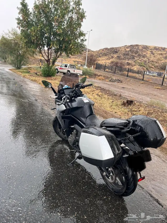 سي اف موتو CFMOTO GT650. 2024 1