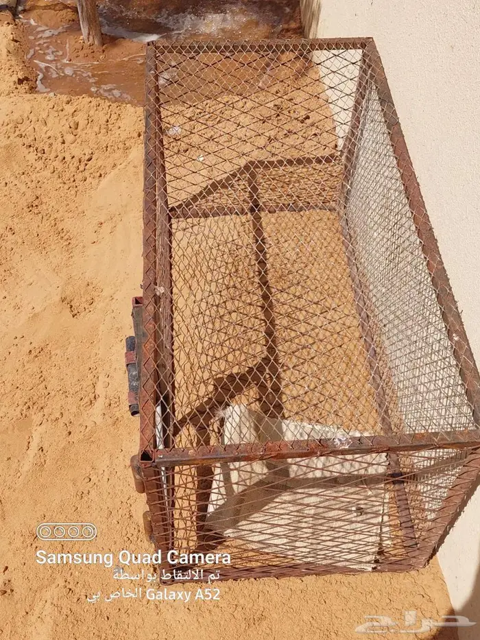 شبك طيور كبير وصغير للبيع 3