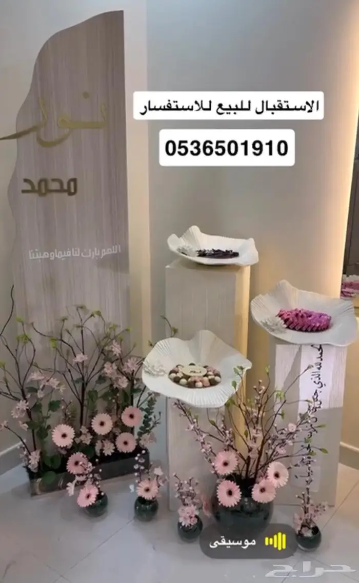 استقبال مولوده 0