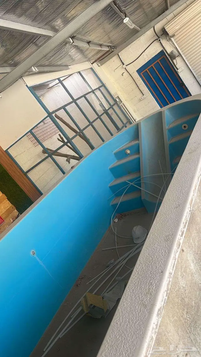 بركه سباحه 1