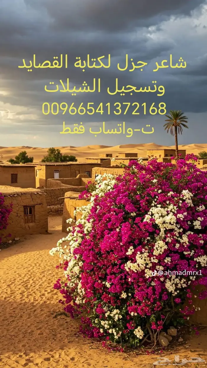 شاعر جزل لكتابه القصايد وتنفيذ الشيلات 0