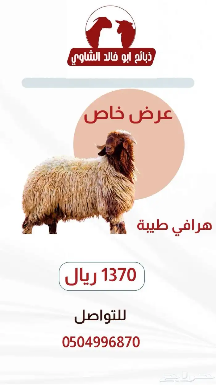ذبايح 1