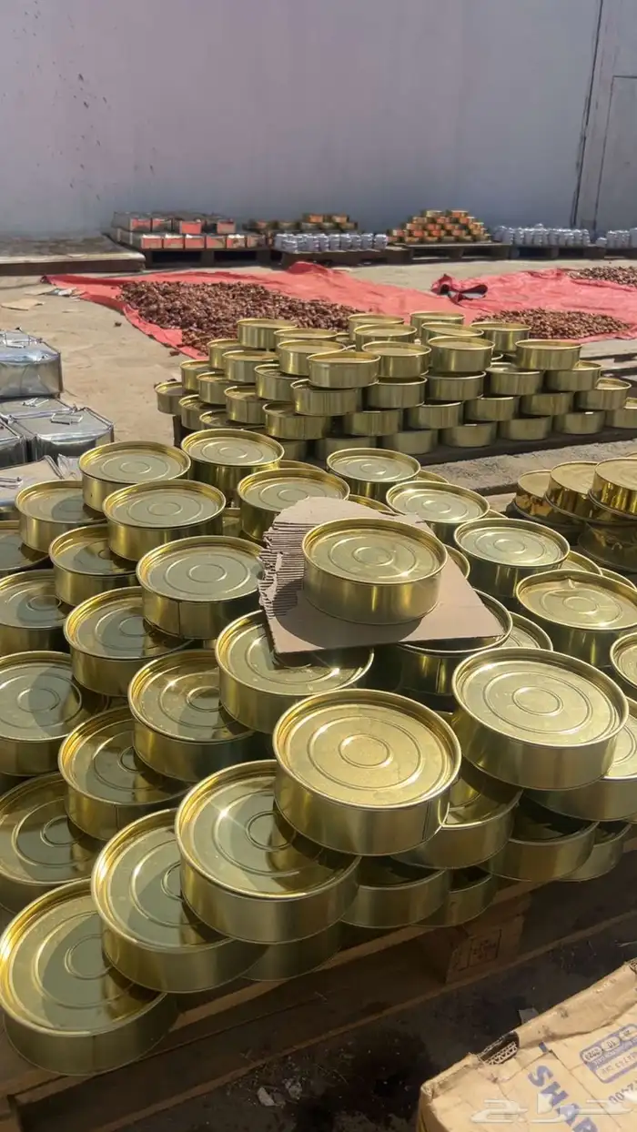 تمر صفري بيشة حبه كبير 1