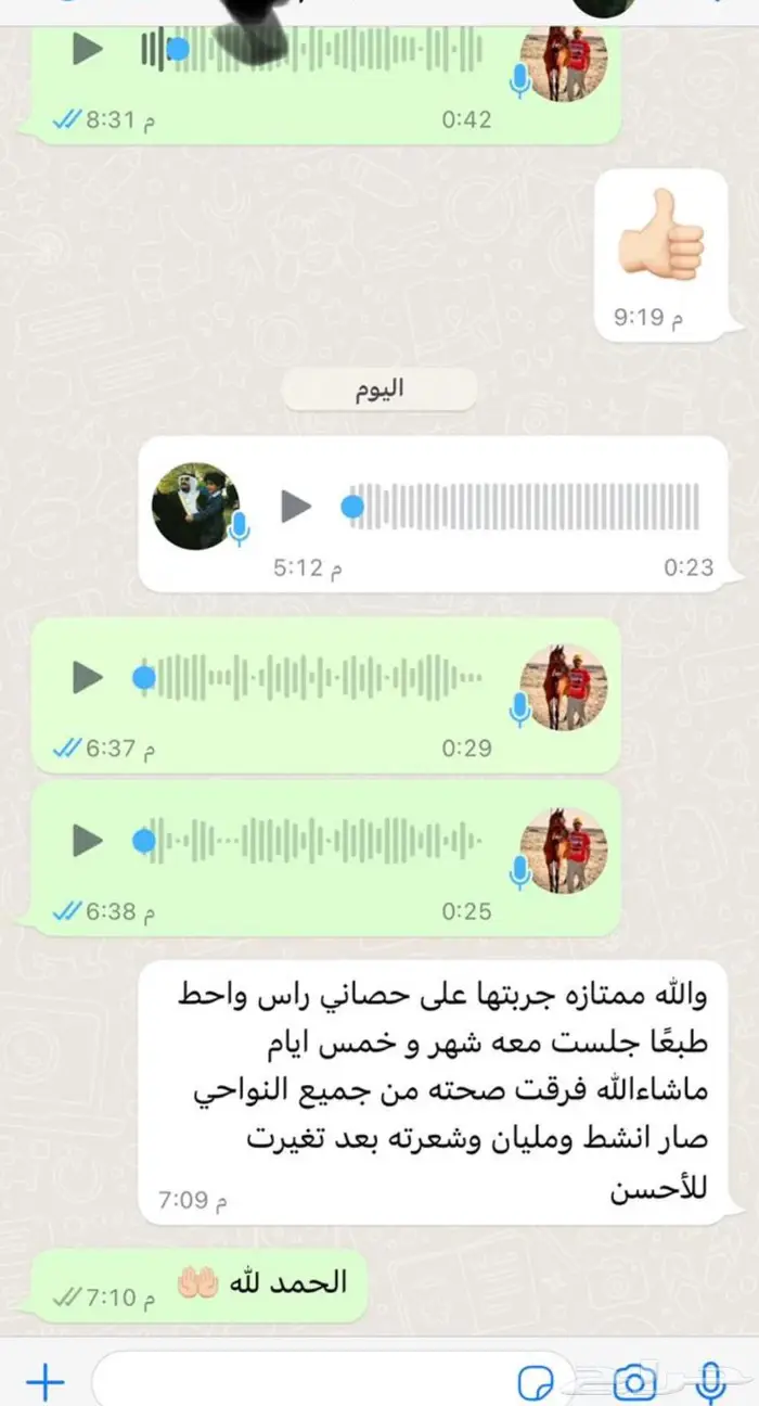 خلطات شعبيه علاجيه للخيل 7