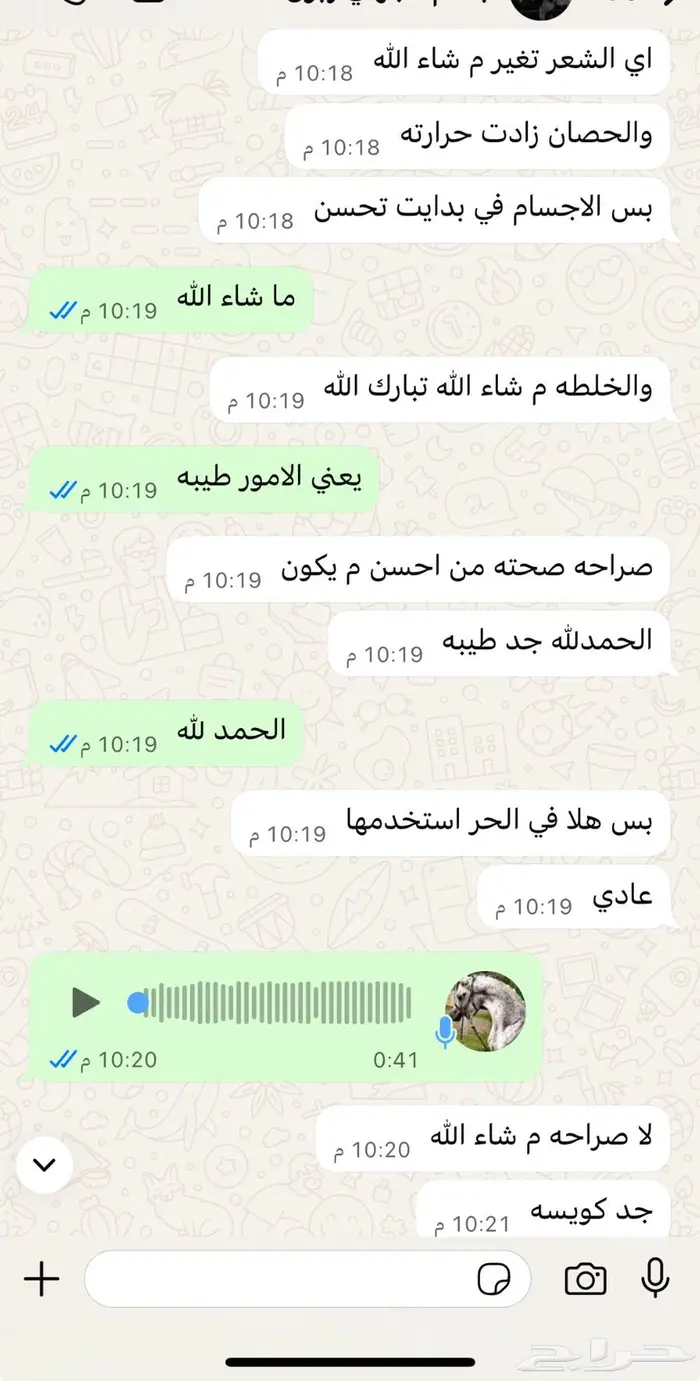 خلطات شعبيه علاجيه للخيل 8