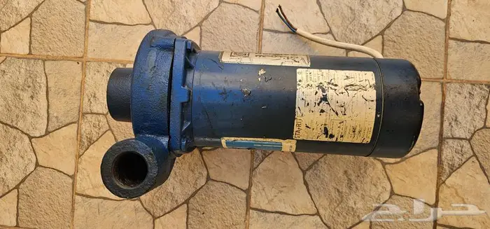 دينمو ماء سمنان حصانين 3