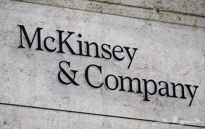-Mckinsey game لعبة ماكينزي 0