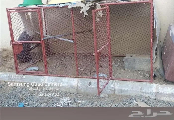 شبك طيور كبير وصغير للبيع 8