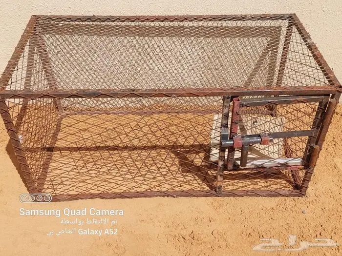 شبك طيور كبير وصغير للبيع 6