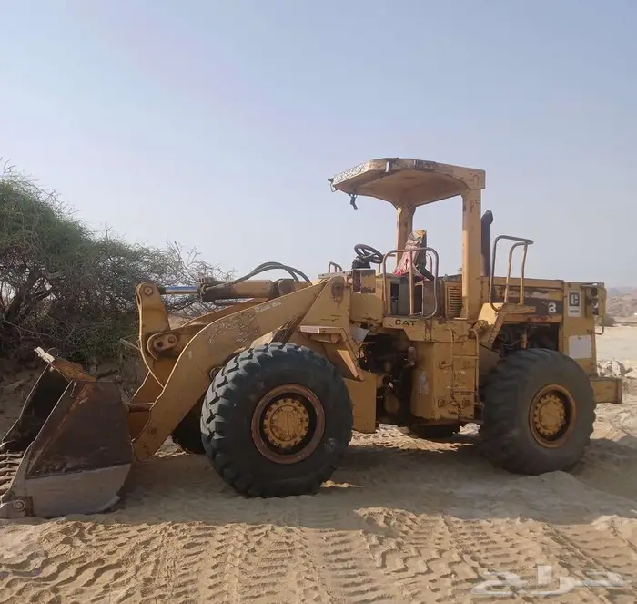 شيول 950بي الزاهد للبيع 0