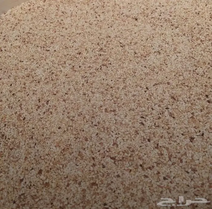 سمسم نظيف 280 طن 3