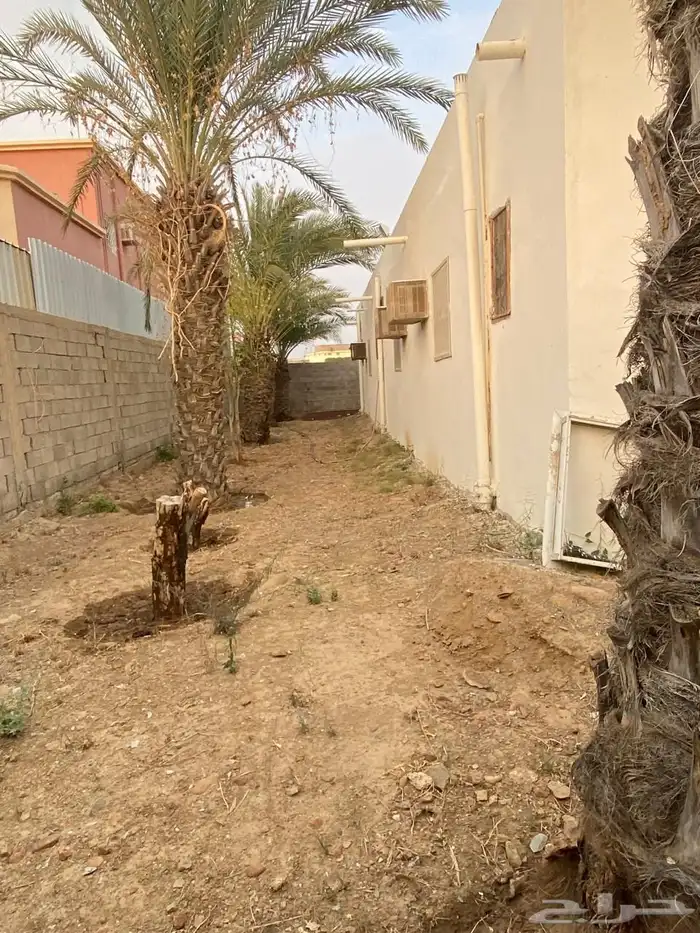 لمن يرغب الشراء 8