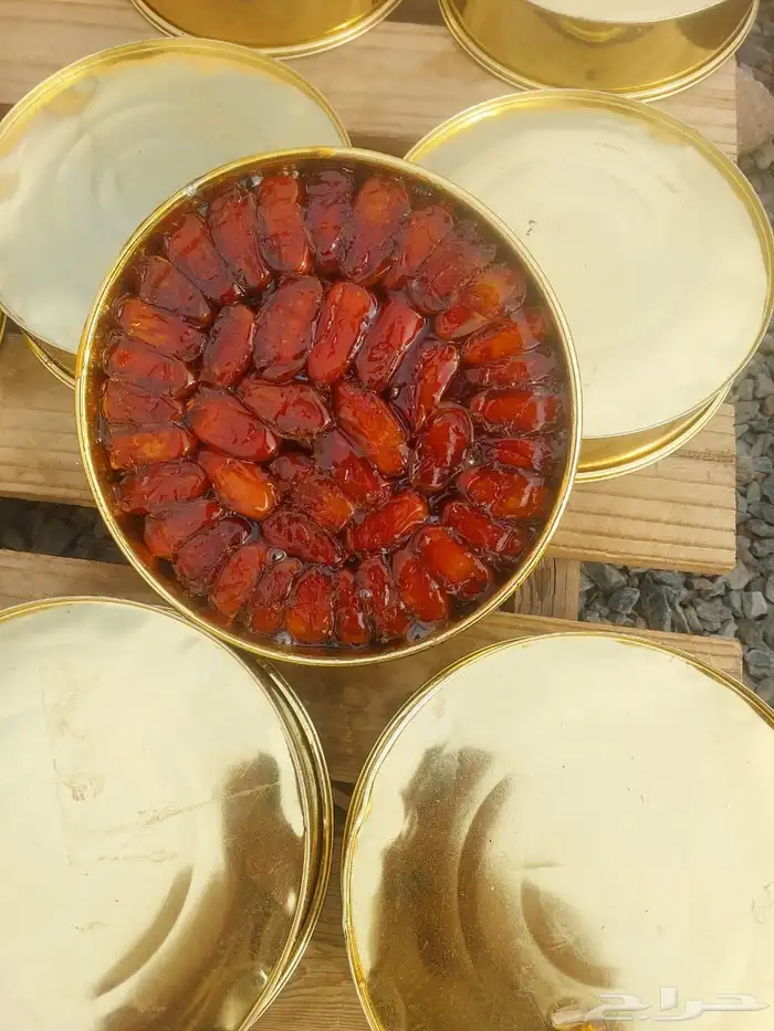 تمر صفري بيشة 1